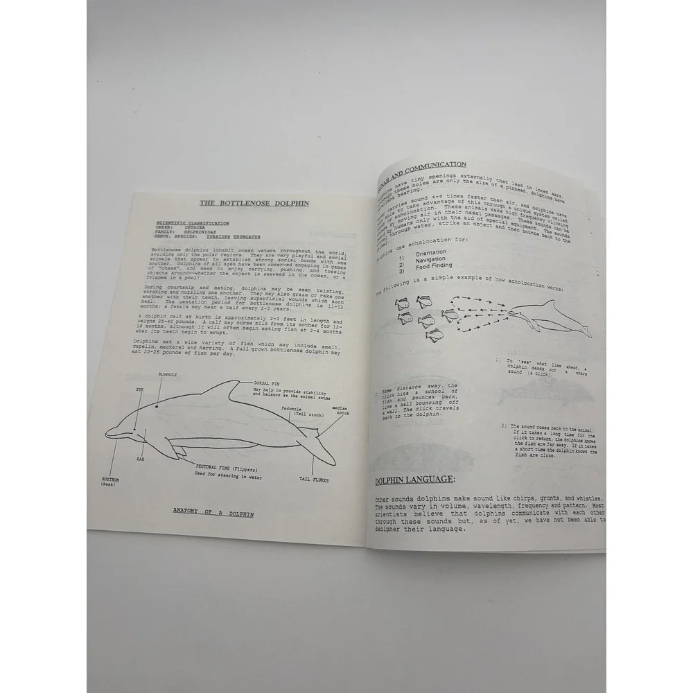 Flippers Fins Tail Flukes‎ Dolphins Whales Mirage Lot 2 Multi Stapled Guide Kids